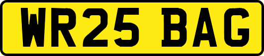 WR25BAG