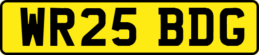 WR25BDG