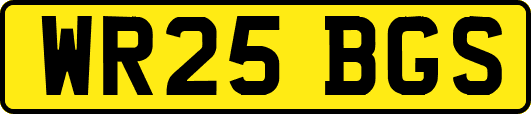 WR25BGS