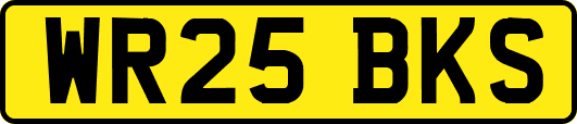 WR25BKS