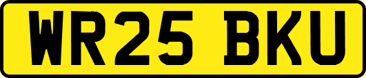 WR25BKU