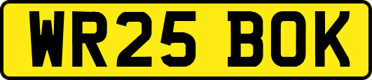WR25BOK