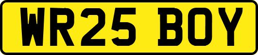 WR25BOY