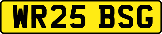 WR25BSG