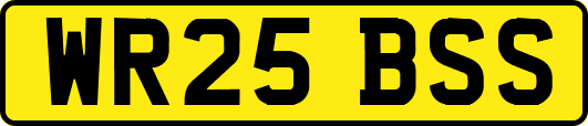 WR25BSS