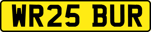 WR25BUR