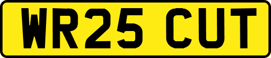 WR25CUT