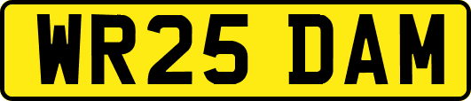 WR25DAM