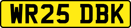 WR25DBK