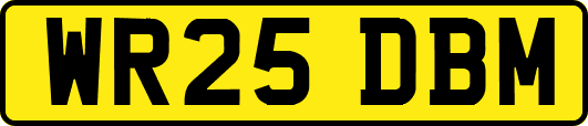 WR25DBM