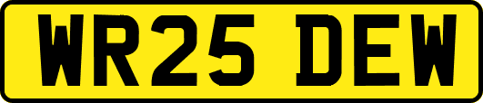 WR25DEW