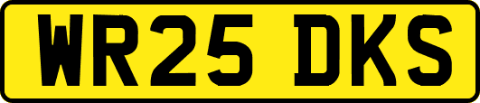 WR25DKS