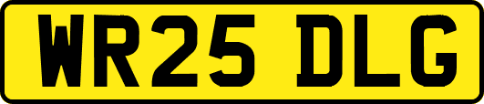 WR25DLG