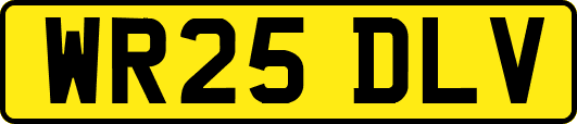WR25DLV