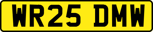 WR25DMW