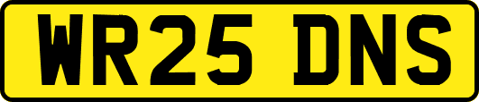 WR25DNS