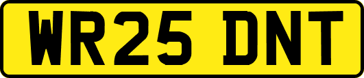 WR25DNT