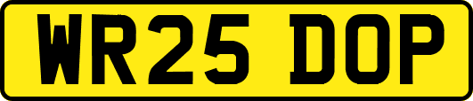 WR25DOP