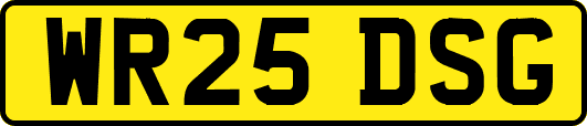 WR25DSG