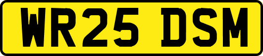 WR25DSM