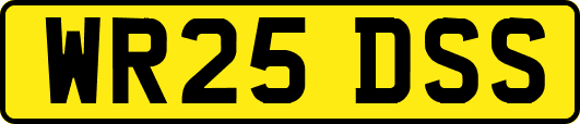 WR25DSS