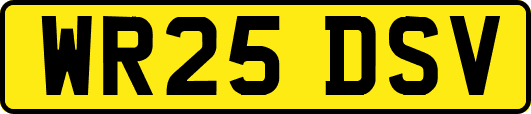 WR25DSV