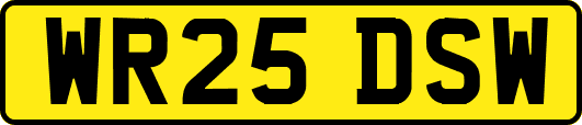WR25DSW