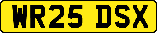 WR25DSX