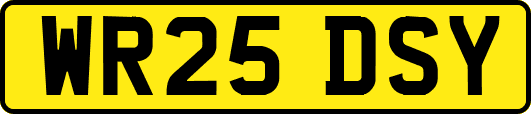 WR25DSY