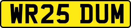 WR25DUM