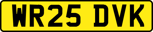 WR25DVK
