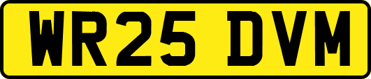 WR25DVM