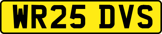 WR25DVS