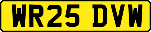 WR25DVW