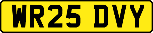 WR25DVY