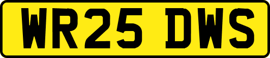 WR25DWS