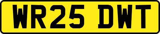 WR25DWT