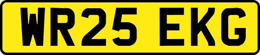 WR25EKG