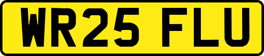 WR25FLU