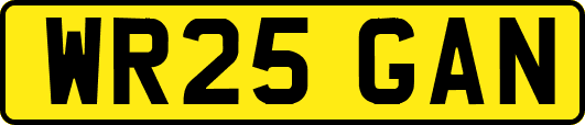 WR25GAN