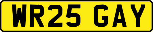 WR25GAY