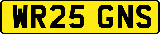 WR25GNS