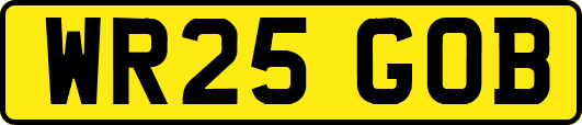 WR25GOB