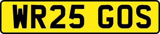 WR25GOS