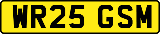 WR25GSM