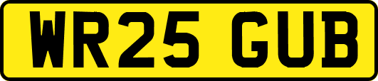 WR25GUB