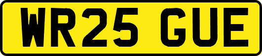 WR25GUE