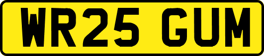 WR25GUM