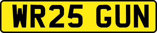 WR25GUN