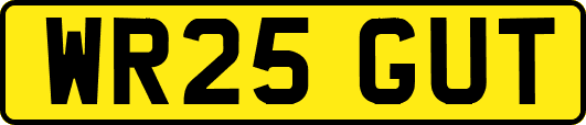 WR25GUT